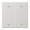 Jung Wippe, mit Pfeilsymbolen für Taster 2fach, Duroplast, Serie LS, lichtgrau LS102PLG