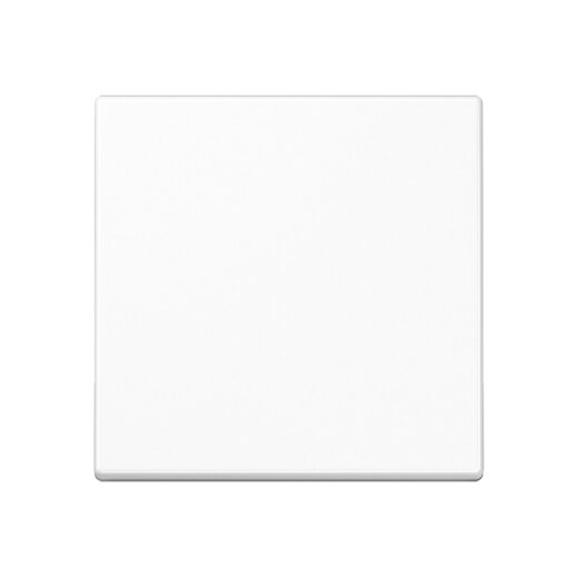 Jung Wippe für Taster 1fach, Thermoplast, Serie A, alpinweiß A101BFWW