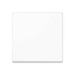 Jung Wippe für Taster 1fach, Duroplast, Serie A,...