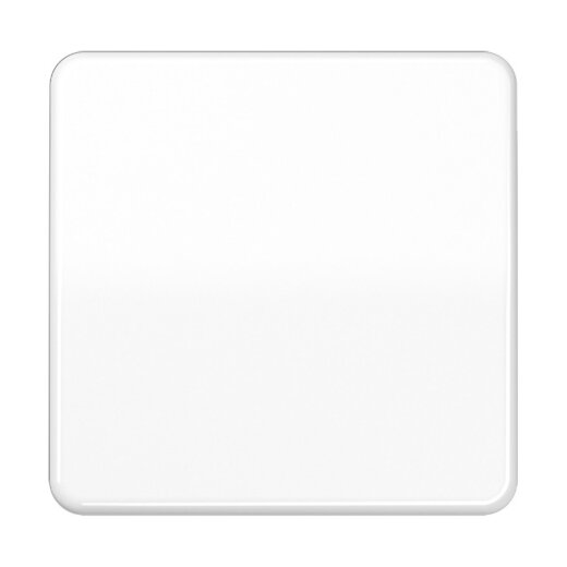 Jung Wippe für Taster 1fach, Duroplast, Serie CD, alpinweiß CD101WW