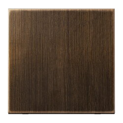 Jung Wippe für Taster 1fach, Messing, Serie LS,...