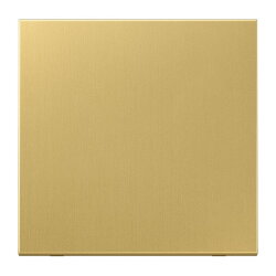 Jung Wippe für Taster 1fach, Messing, Serie LS,...