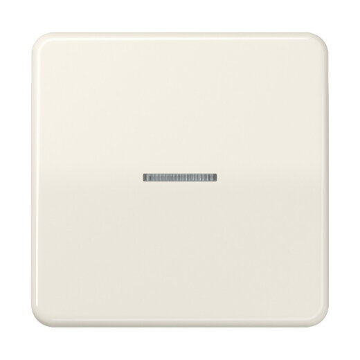 Jung Wippe mit Lichtleiter für Taster 1fach, Duroplast, Serie CD, weiß CD101KO5