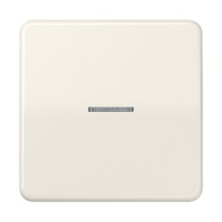 Jung Wippe mit Lichtleiter für Taster 1fach,...