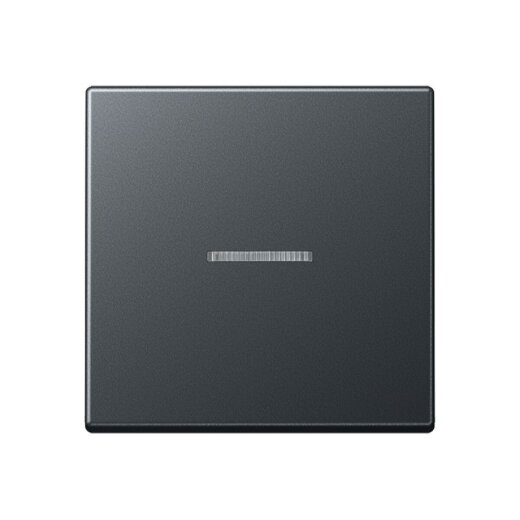 Jung Wippe mit Lichtleiter für Taster 1fach, Thermoplast lackiert, Serie A, anthrazit matt A101KO5BFANM