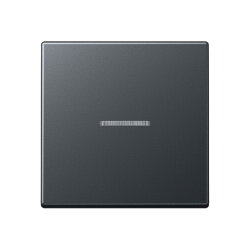 Jung Wippe mit Lichtleiter für Taster 1fach,...