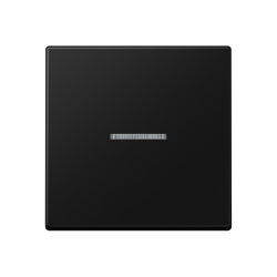 Jung Wippe mit Lichtleiter für Taster 1fach,...