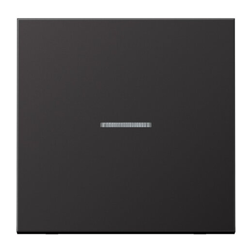 Jung Wippe mit Lichtleiter für Taster 1fach, Aluminium lackiert, Serie LS, dark (lackiertes Aluminium) AL101KO5D