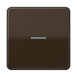 Jung Wippe mit Lichtleiter für Taster 1fach,...