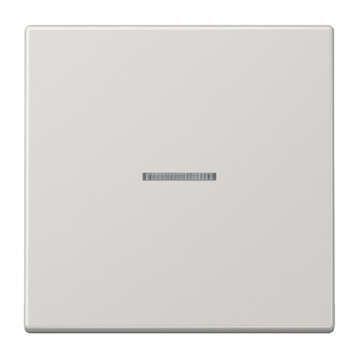 Jung Wippe mit Lichtleiter für Taster 1fach, Duroplast, Serie LS, lichtgrau LS101KO5LG