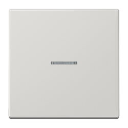 Jung Wippe mit Lichtleiter für Taster 1fach,...