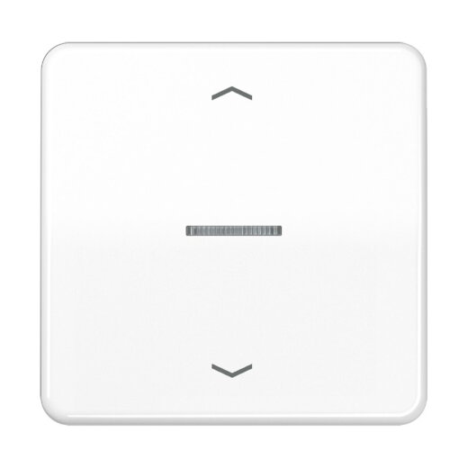 Jung Wippe mit Lichtleiter, mit Pfeilsymbolen für Taster 1fach, Duroplast, Serie CD, alpinweiß CD101KO5PWW