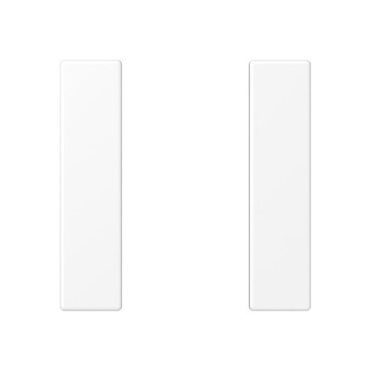 Jung Tastensatz 1fach, F50, Serie A, schneeweiß matt A501TSAWWM