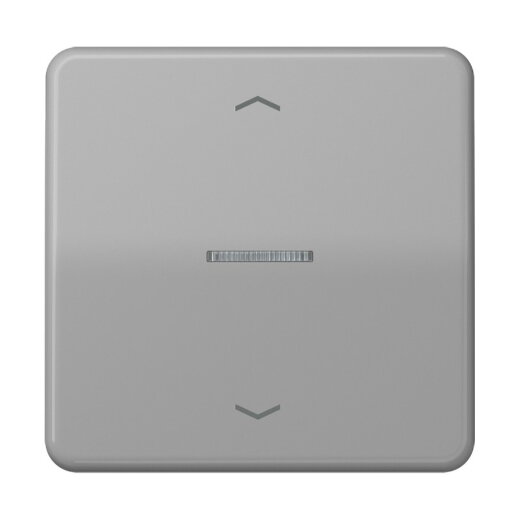 Jung Wippe mit Lichtleiter, mit Pfeilsymbolen für Taster 1fach, Duroplast, Serie CD, grau CD101KO5PGR