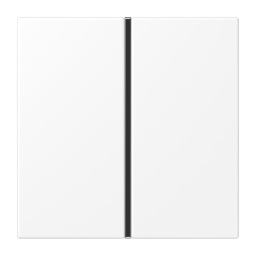 Jung Tastensatz 1fach, F40, Serie LS, schneeweiß matt LS401TSAWWM