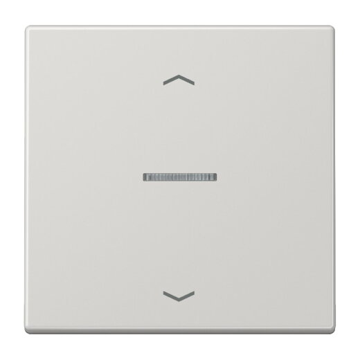 Jung Wippe mit Lichtleiter, mit Pfeilsymbolen für Taster 1fach, Duroplast, Serie LS, lichtgrau LS101KO5PLG