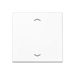 Jung Wippe, mit Pfeilsymbolen für Taster 1fach,...