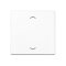 Jung Wippe, mit Pfeilsymbolen für Taster 1fach, Thermoplast, Serie A, alpinweiß A101PBFWW