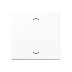 Jung Wippe, mit Pfeilsymbolen für Taster 1fach,...