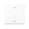 Jung Wippe, mit Pfeilsymbolen für Taster 1fach, Duroplast, Serie A, alpinweiß A101PWW