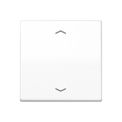 Jung Wippe, mit Pfeilsymbolen für Taster 1fach,...