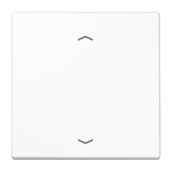 Jung Wippe, mit Pfeilsymbolen für Taster 1fach,...