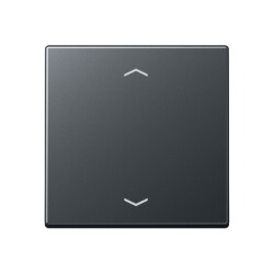 Jung Wippe, mit Pfeilsymbolen für Taster 1fach,...