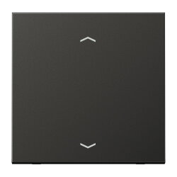 Jung Wippe, mit Pfeilsymbolen für Taster 1fach,...