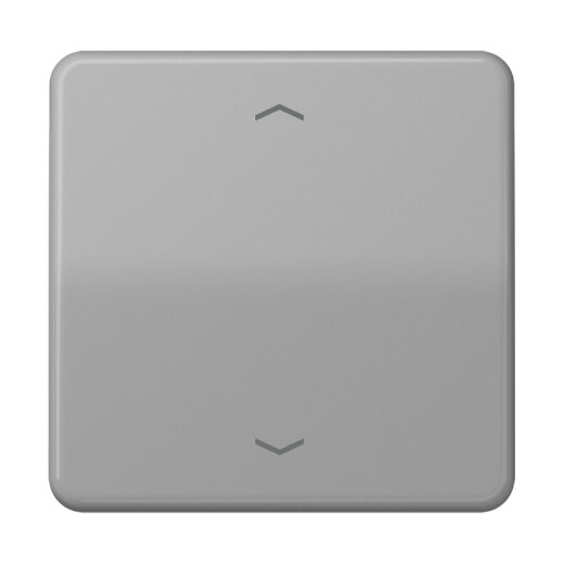 Jung Wippe, mit Pfeilsymbolen für Taster 1fach, Duroplast, Serie CD, grau CD101PGR