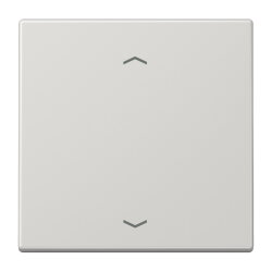 Jung Wippe, mit Pfeilsymbolen für Taster 1fach,...