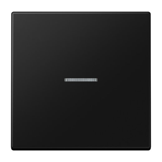 Jung Wippe 1fach mit Lichtleiter, Serie LS, graphitschwarz matt LS990KO5SWM