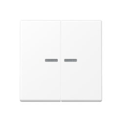 Jung Wippe 2fach mit Lichtleiter, Serie A,...