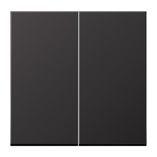 Jung Wippe für Taster 2fach, Aluminium lackiert, Serie LS, dark (lackiertes Aluminium) AL102D