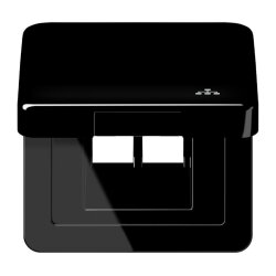 Jung Klappdeckel inklusive Zentralplatte, mit Symbol LAN,...