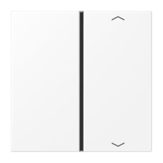 Jung Taste 1fach, mit Pfeilsymbolen, F40, Serie LS, schneeweiß matt LS401TSAPWWM