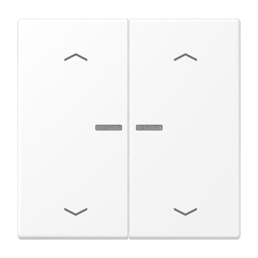Jung Wippe mit Lichtleiter, mit Pfeilsymbolen für Taster 2fach, Serie LS, schneeweiß matt LS102KO5PWWM