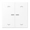Jung Wippe mit Lichtleiter, mit Pfeilsymbolen für Taster 2fach, Serie LS, schneeweiß matt LS102KO5PWWM