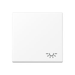 Jung Wippe 1fach, Symbol Licht, Serie A, schneeweiß...
