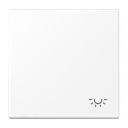 Jung Wippe 1fach, Symbol Licht, Serie LS,...