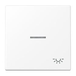 Jung Wippe 1fach mit Lichtleiter, Symbol Licht, Serie LS,...