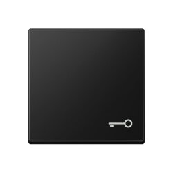 Jung Wippe, Symbol Tür, Serie A, graphitschwarz matt...