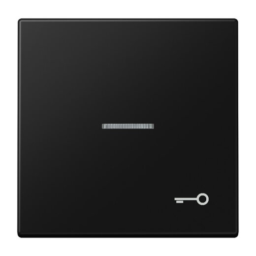 Jung Wippe mit Lichtleiter, Symbol Tür, Serie LS, graphitschwarz matt LS990KO5TSWM