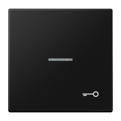 Jung Wippe mit Lichtleiter, Symbol Tür, Serie LS,...