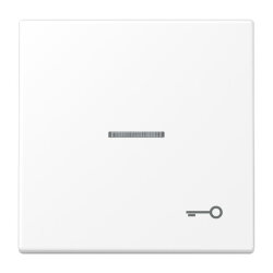 Jung Wippe mit Lichtleiter, Symbol Tür, Serie LS,...