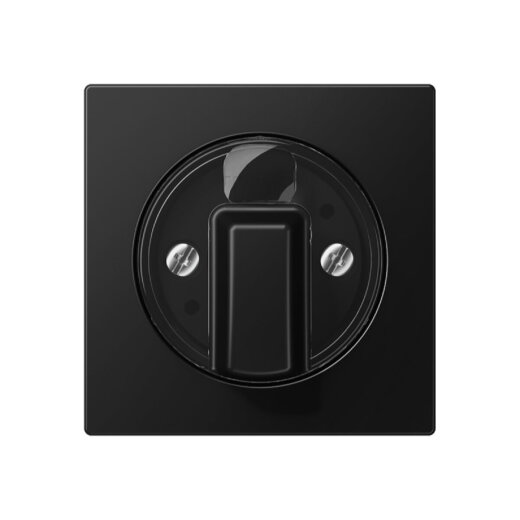 Jung Abdeckung für Drehschalter, Thermoplast lackiert, Serie A, graphitschwarz matt A1541BFSWM