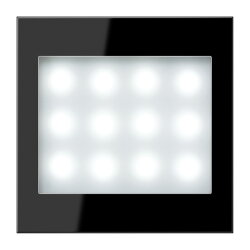 Jung LED-Leselicht, Serie LS, schwarz (lackiertes...