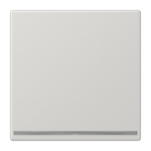 Jung LED-Orientierungslicht, Thermoplast, Serie LS, lichtgrau LS1539-OOLGLNW