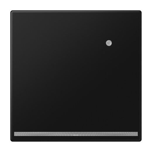 Jung LED-Orientierungslicht mit Helligkeitssensor, Serie LS, graphitschwarz matt LS1539-OSWMLNW