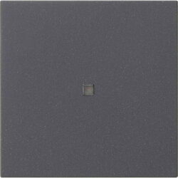 Gira Aufsatz KNX RF 1f Sys 55 anthr.