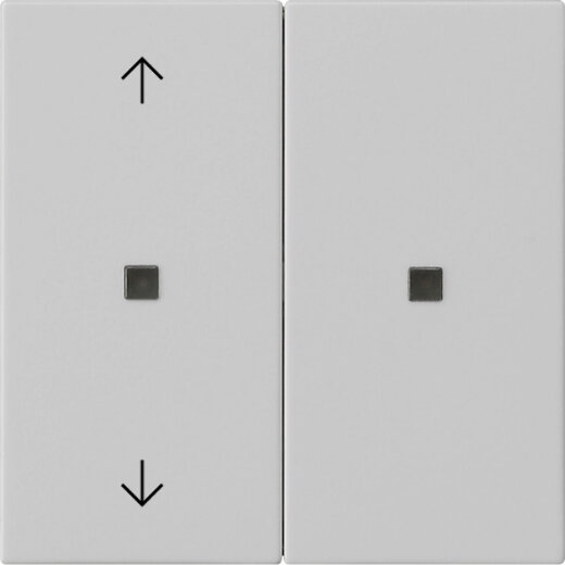 Gira Aufsatz KNX RF 2f Pfeile Sys 55 gr m